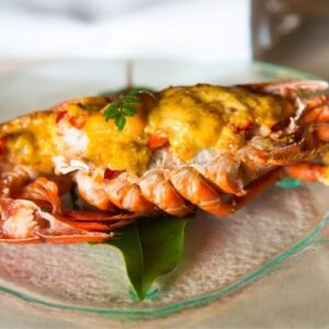 T-C-Lobster-Underwater-2